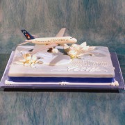 747 on The Cake