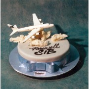 737 Boeing on A Cake